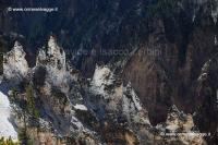 219 Grand Canyon of Yellowstone IMG 0459 (2)